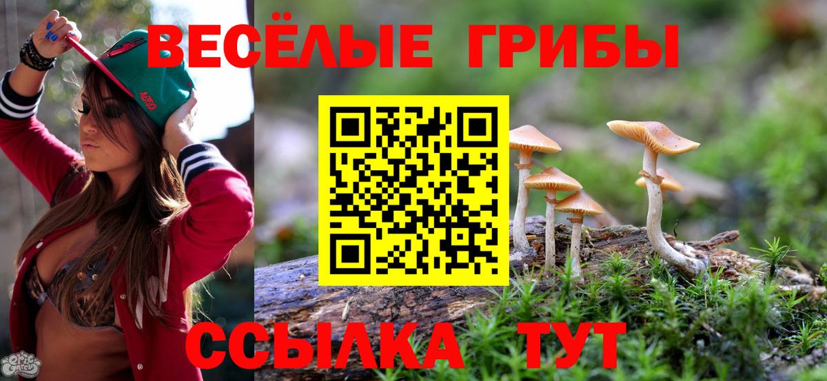 Галлюциногенные грибы Psilocybe  где продают наркотики  Вход с VPN  Унеча  Псилоцибиновые грибы Magic Shrooms 