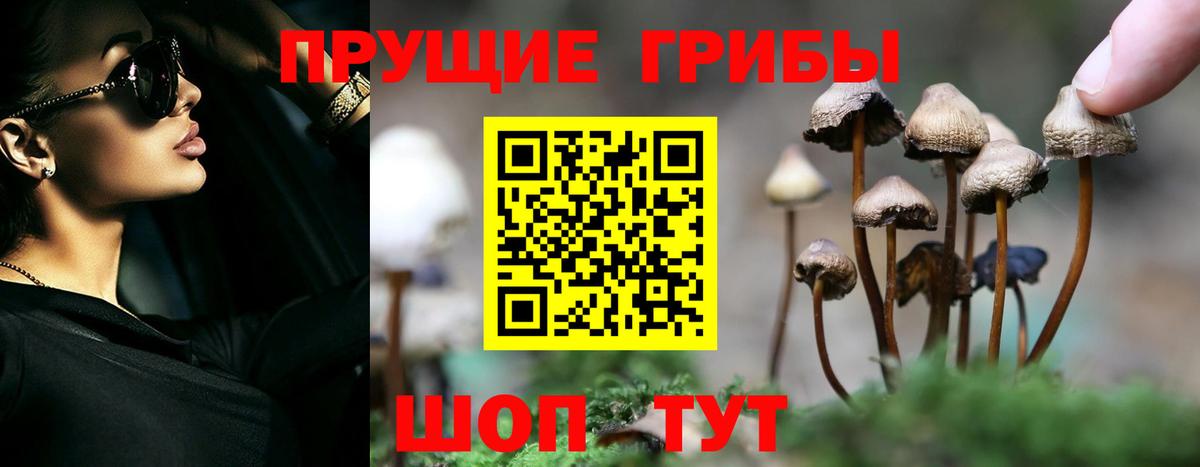 Галлюциногенные грибы Cubensis Унеча